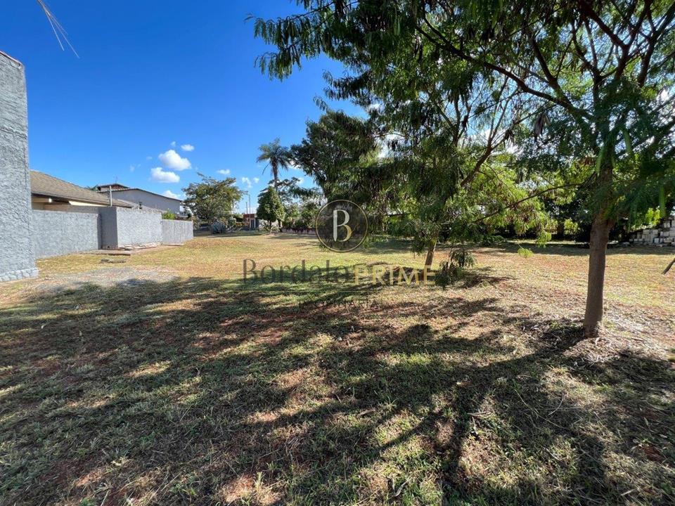 Terreno - Park Way, Brasília - Foto 14