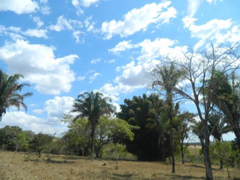 Fazenda BR 070